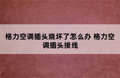 格力空调插头烧坏了怎么办 格力空调插头接线